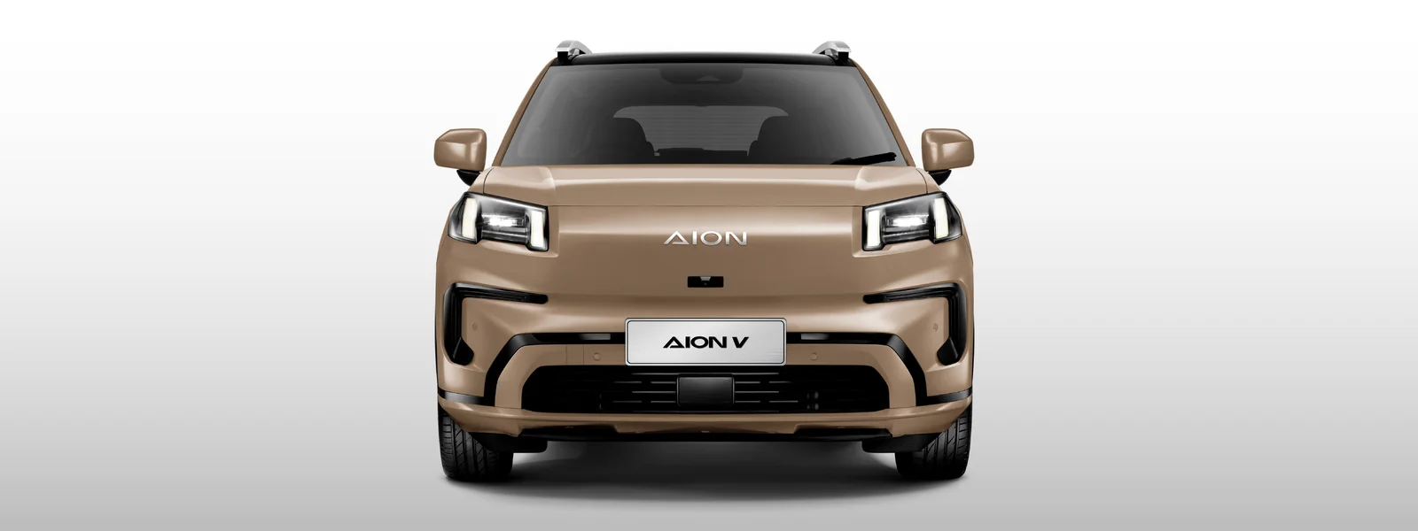 Aion V